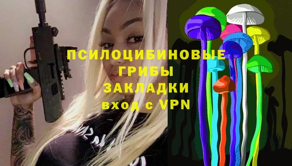ГАЛЛЮЦИНОГЕННЫЕ ГРИБЫ Тутаев