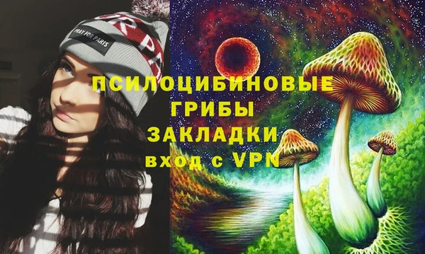 ГАЛЛЮЦИНОГЕННЫЕ ГРИБЫ Тутаев